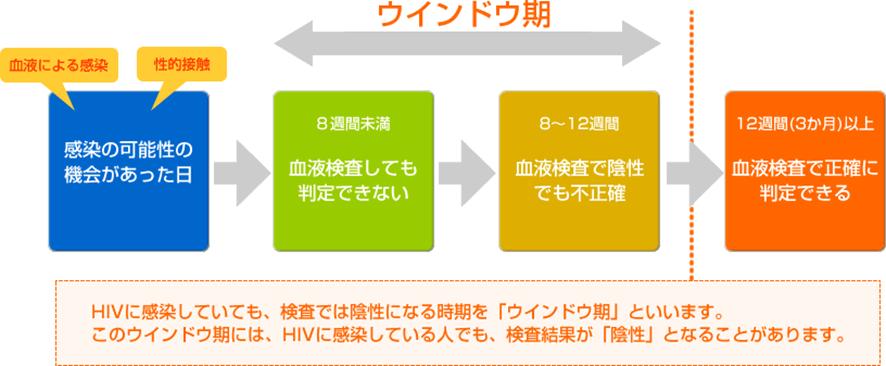 ウインドウ期